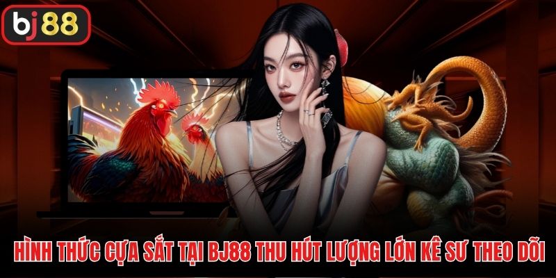 Hình thức cựa sắt tại BJ88 thu hút lượng lớn kê sư theo dõi